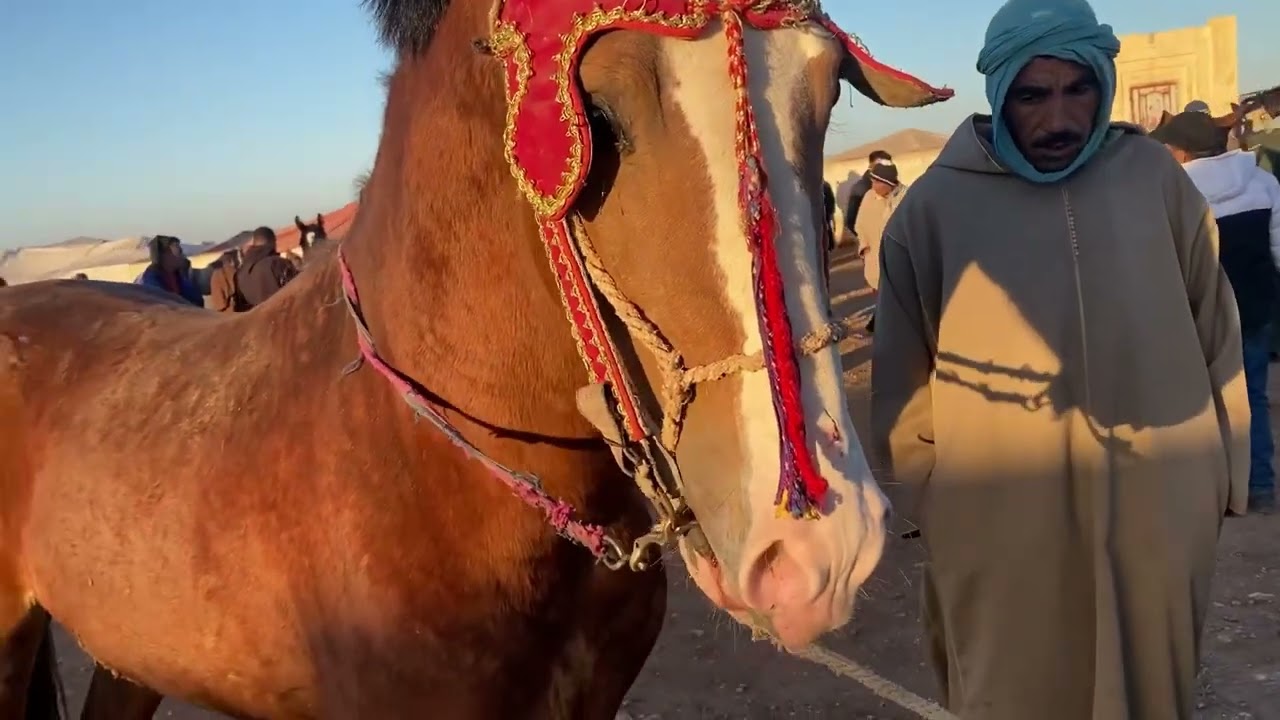 لله الله من قلب سوق ابي الجعد بتاريخ 29دجنبر😱😱😱تمان عيان الله إصوب
