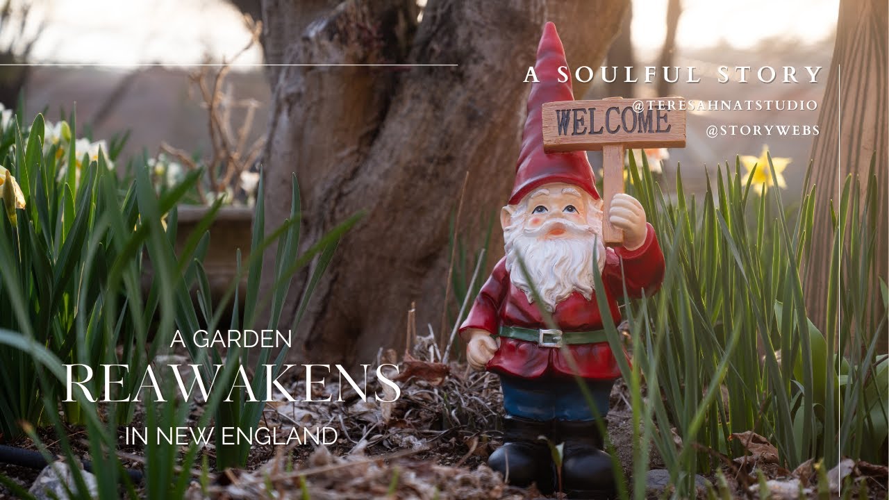 WATCHING THE GARDEN REAWAKEN 🌷 A quiet slowly living country vlog