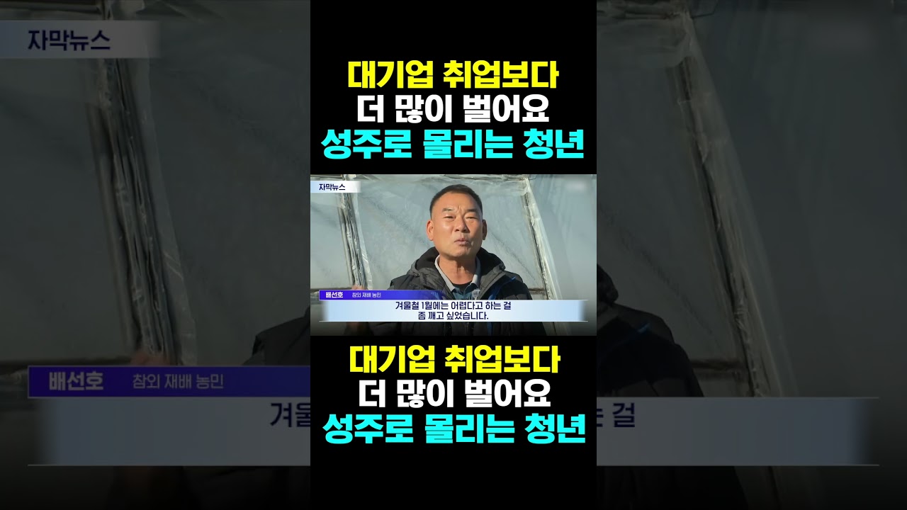 [한국농수산TV] 대기업 취업보다 더 많이 벌어요... 성주로 몰리는 청년