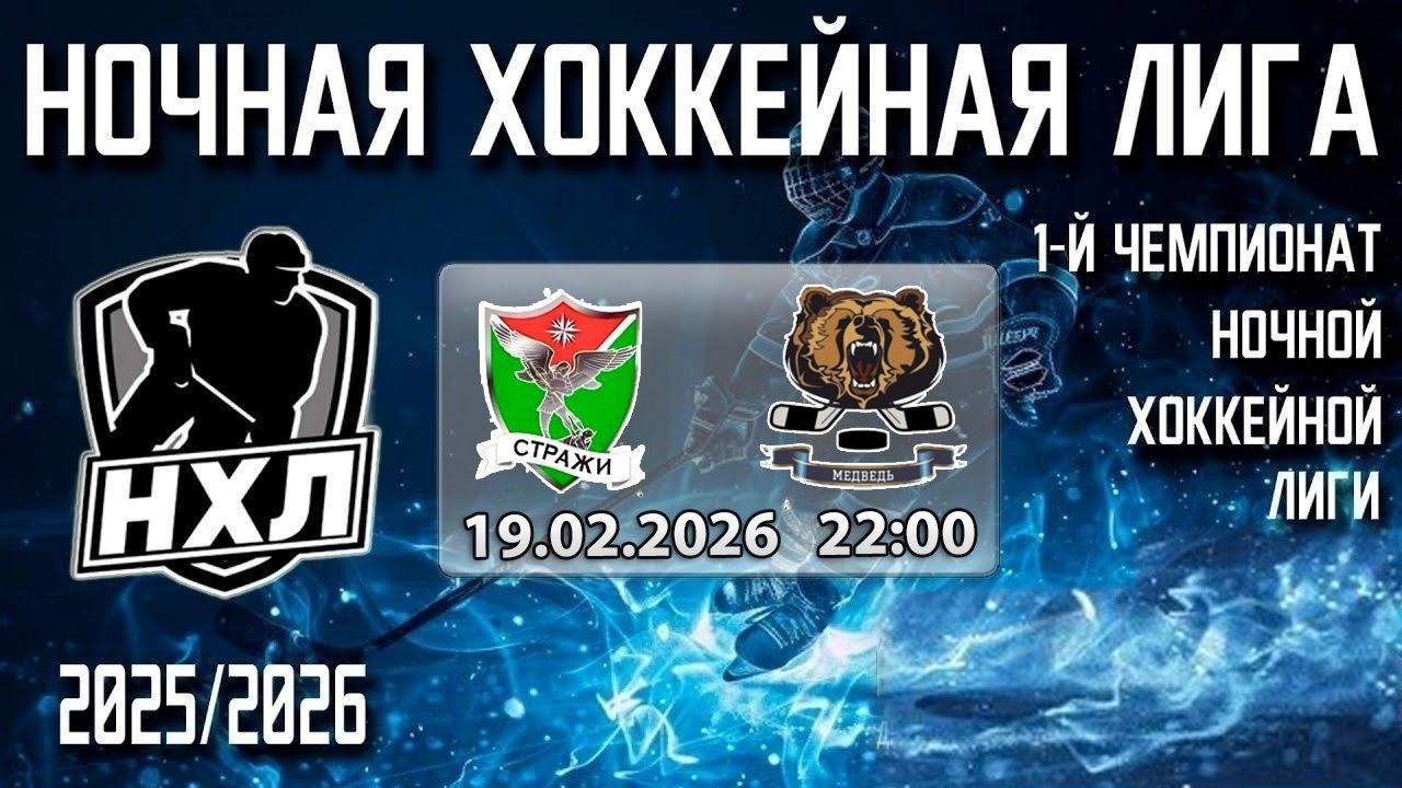 19.02.2026. 1-й Чемпионат НХЛ. Стражи-2 - Медведь