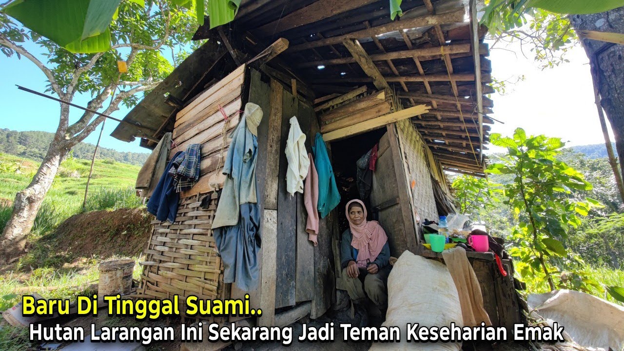 Sedih.. Di Hutan Larangan Ini Emak Tinggal Tanpa Listrik Hidup Sendirian di Gubuk Kecil