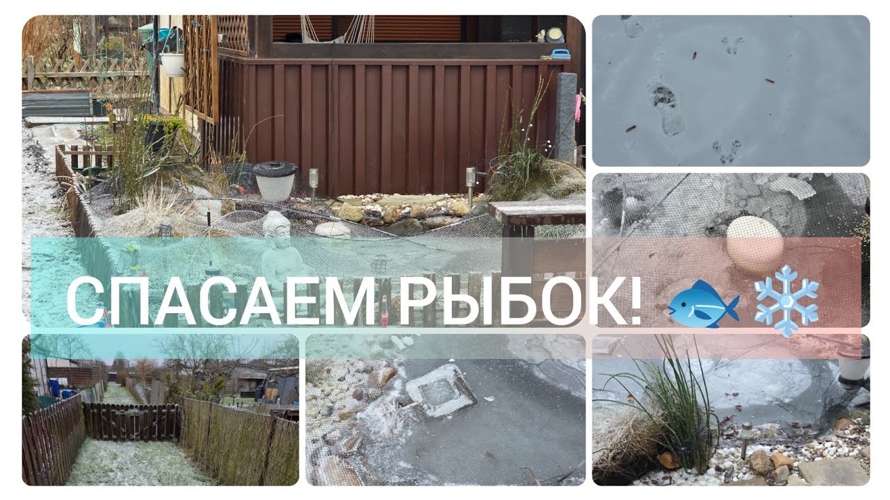 ПРУД ЗАМЁРЗ🥶ДОЛБИЛИ ЛЁД И СПАСАЛИ РЫБОК 