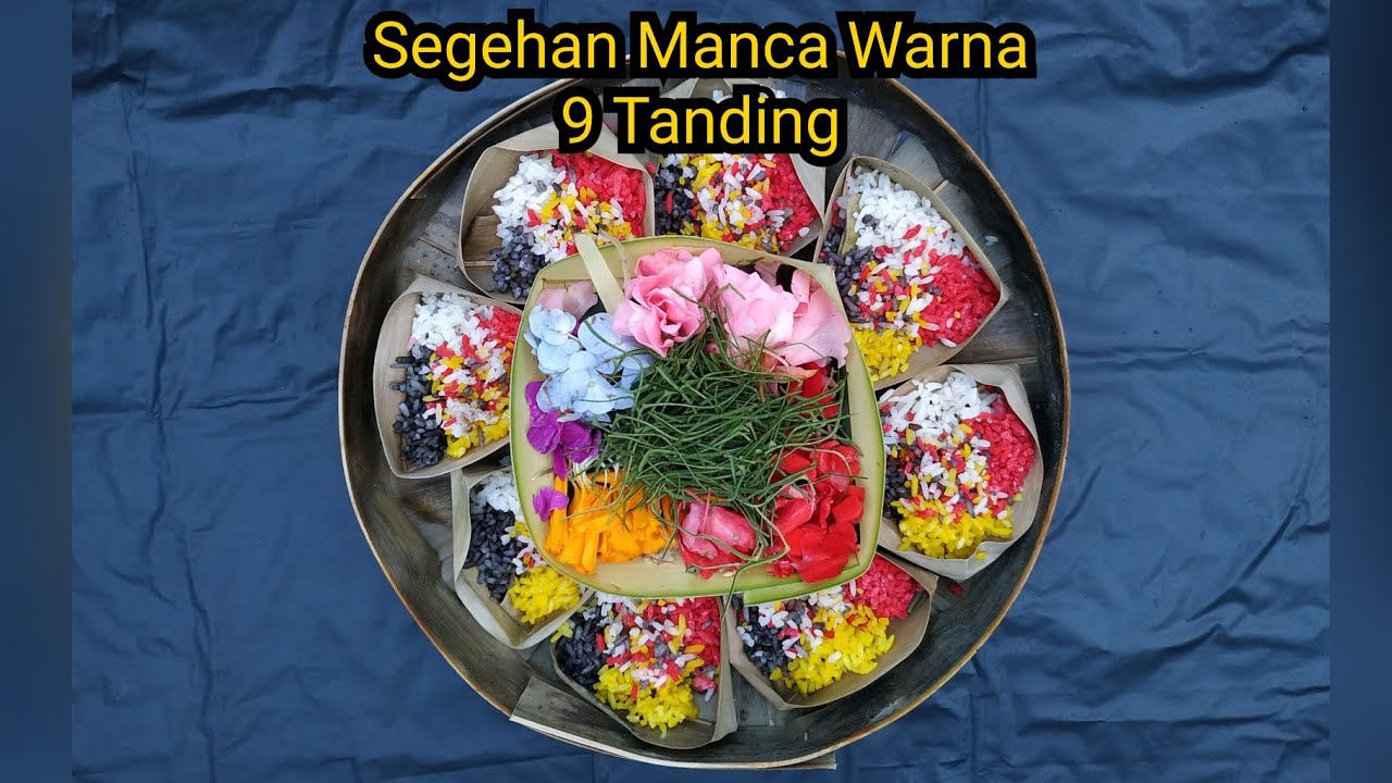 CARA MEMBUAT SEGEHAN MANCA WARNA 9 TANDING