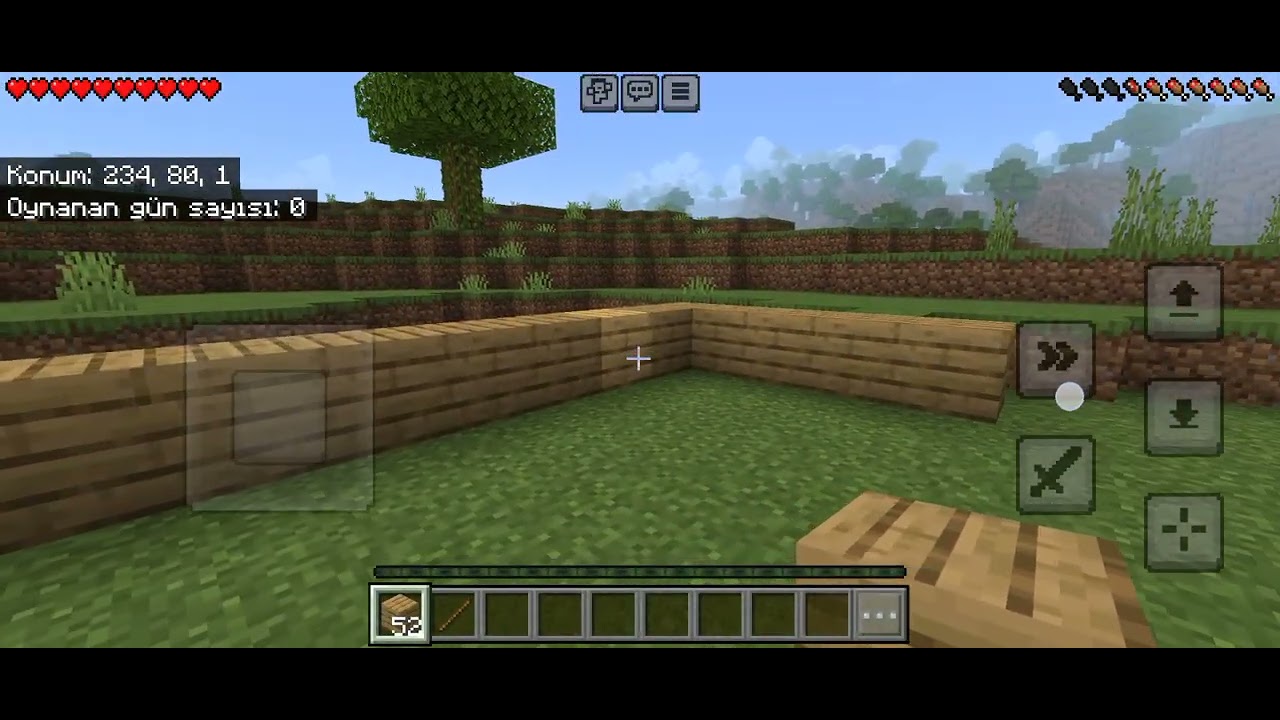 TUNA'NIN MİNECRAFT DÜNYASI BÖLÜM 1