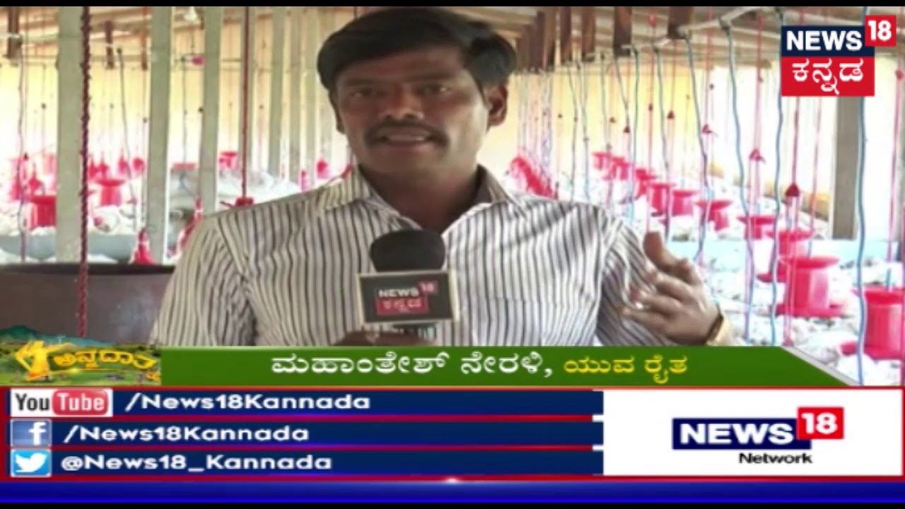 ಅನ್ನದಾತ | Broiler Chicken Farming In Karnataka | Feb 2, 2019