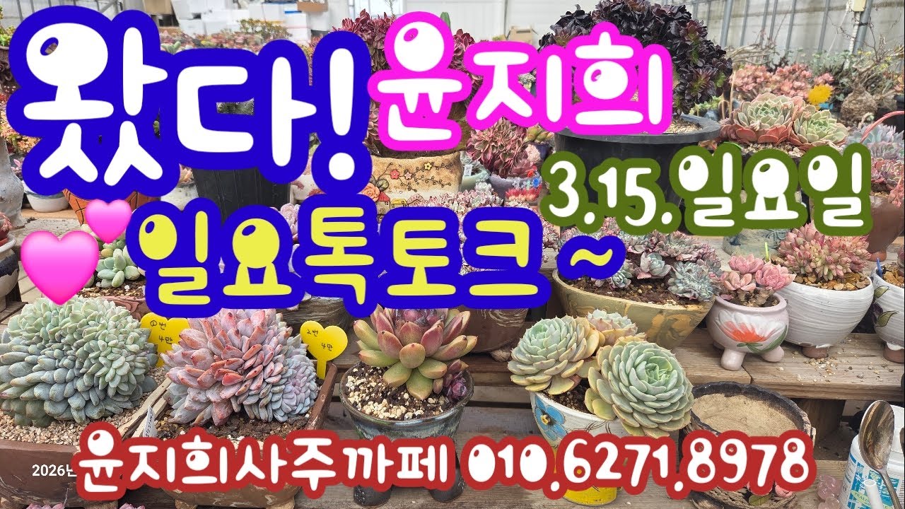 3.15.일요일💥 왔다! 윤지희 라이브 톡토크 💥 윤지희사주까페 010.6271.8978