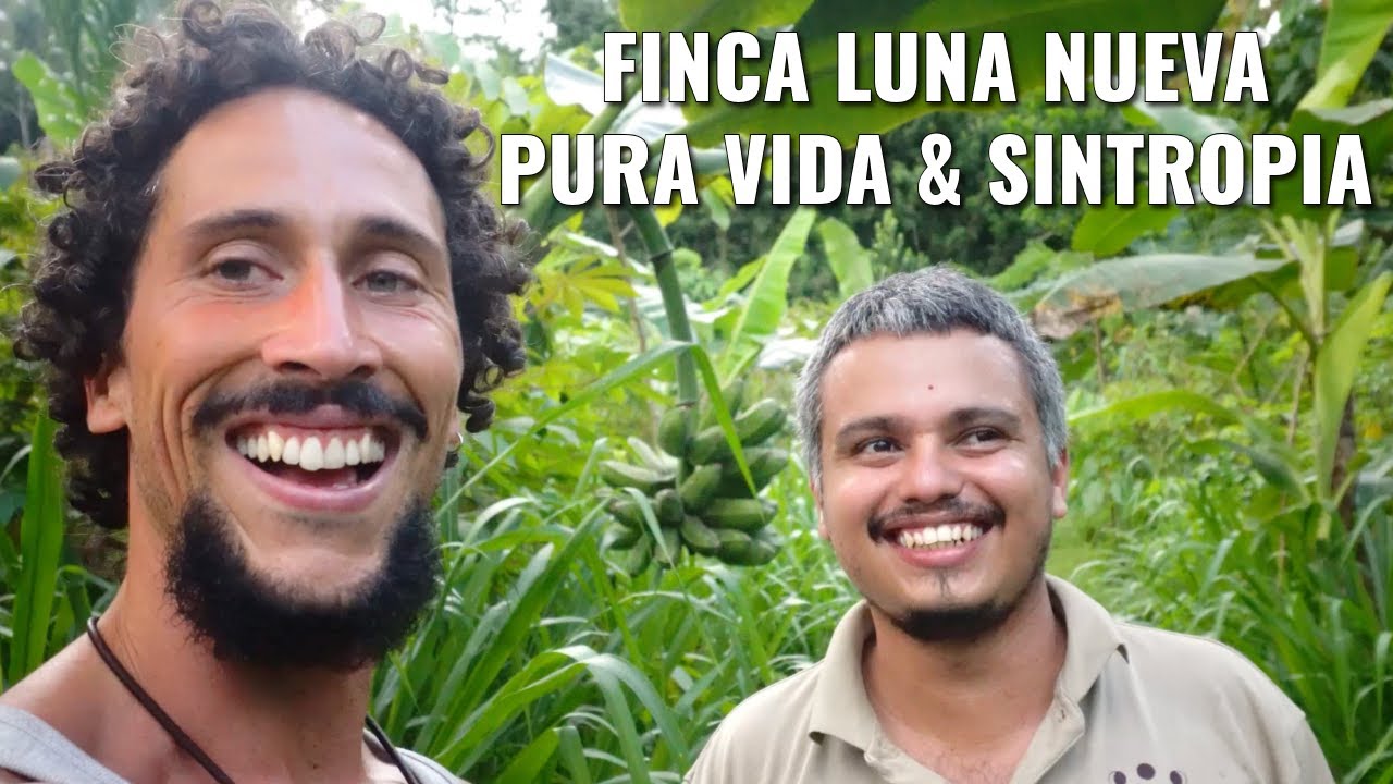 HERMOSO Bosque Sintrópico de Alimentos en Costa Rica - Pura Vida en Finca Luna Nueva