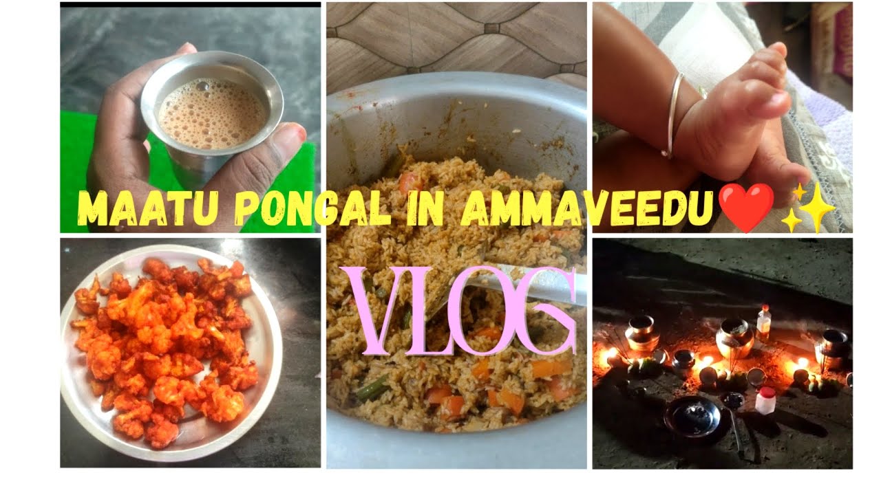 Maatu Pongal day vlog in AmmaVeedu ❤️🤩#erodeamminis#food#maatu pongal#babygirl#ammaveedu#newmok#vlog