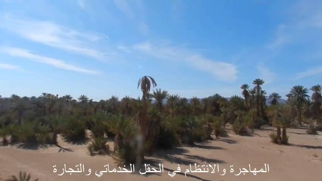 بلدتنا اكضي