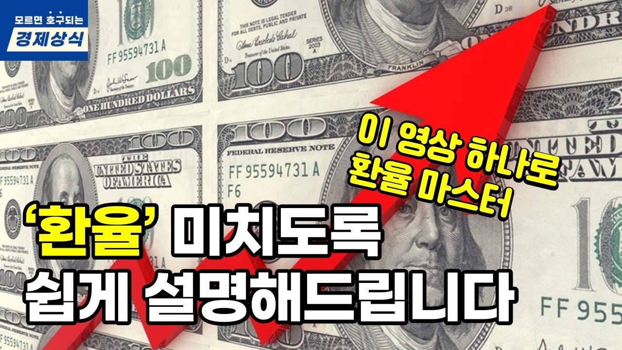 환율기초 완전 쉬운 설명ㅣ 환율 변동의 영향, 환율과 주식 관계, 환율과 경제 관계, 환율 기초강의, 환율이 주가와 경제에 미치는 영향