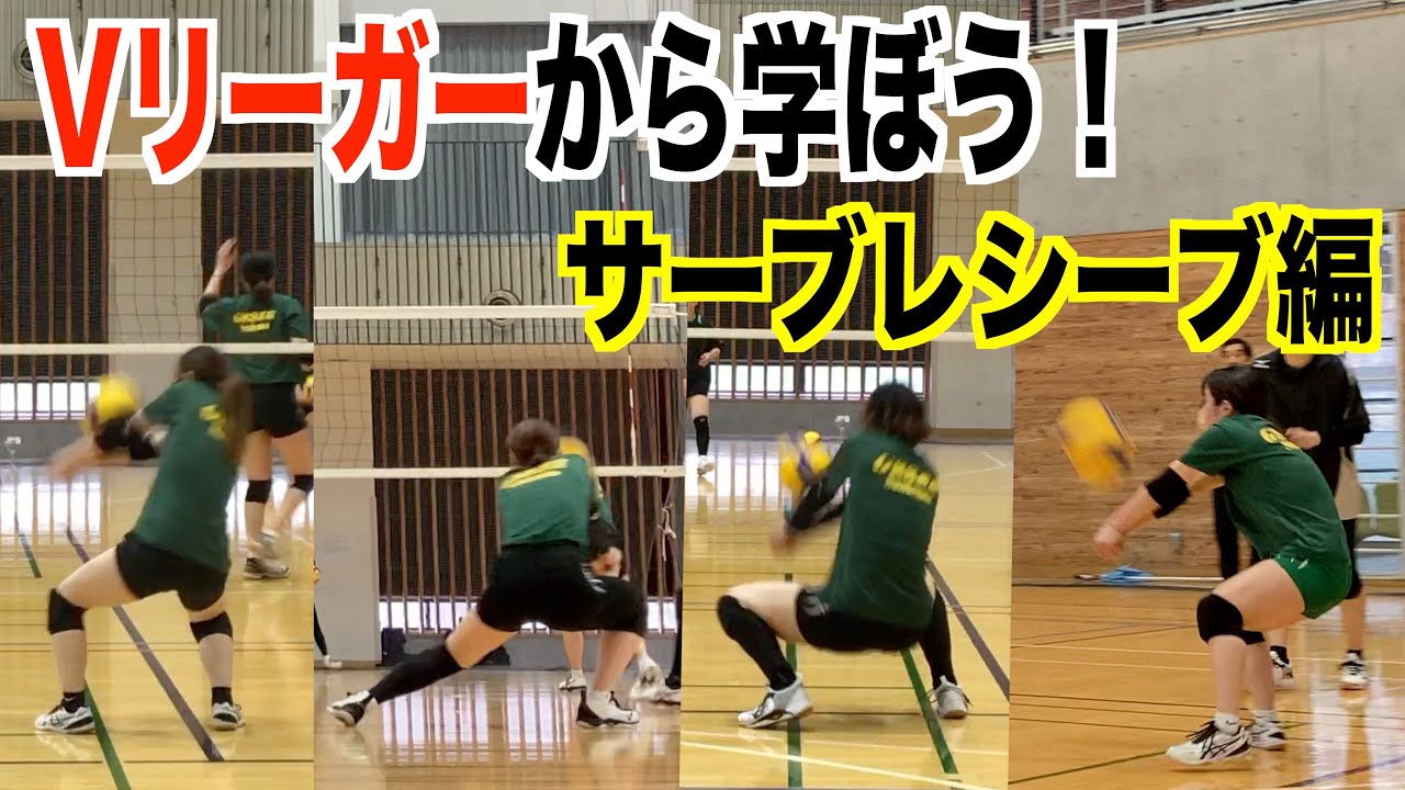 Vリーガーから学ぼう！サーブレシーブ編【バレーボール】