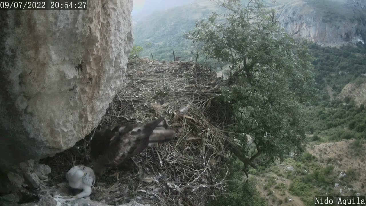 Parco dei Nebrodi - Nido dell'Aquila -