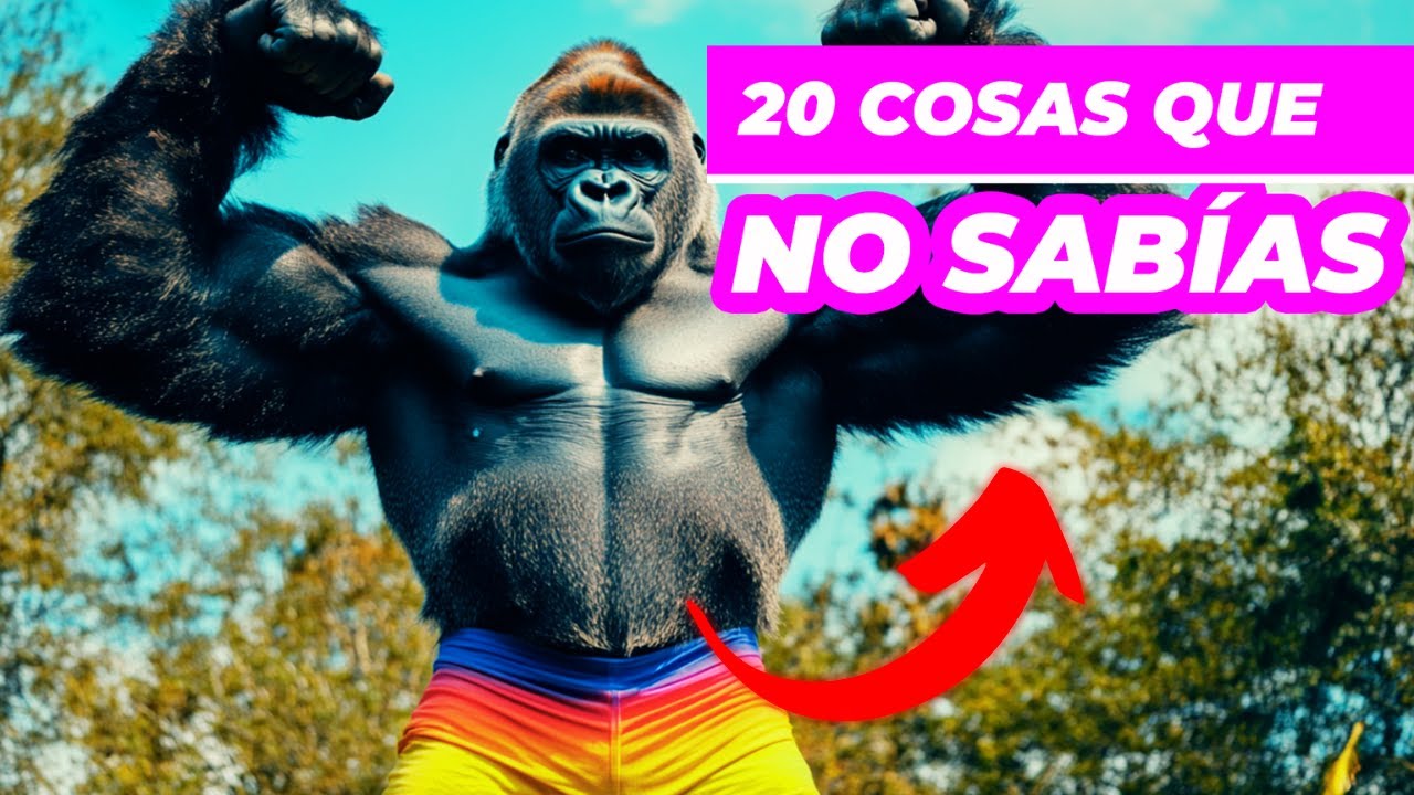 20 Cosas Tan LOCAS Que No Creerás Que Existen