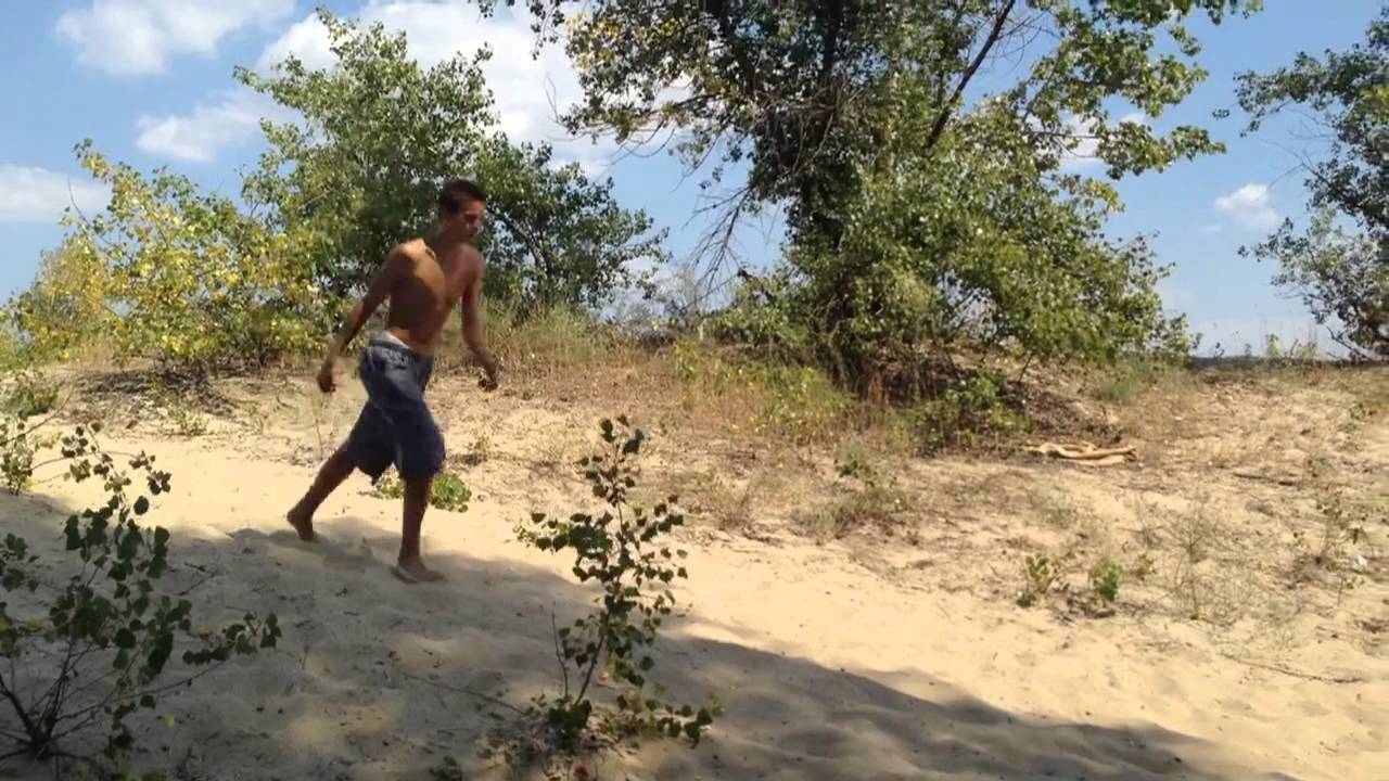 Freerun 2015 FSMEDIA