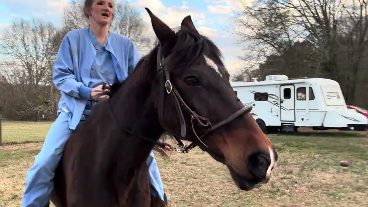 Bareback Horse Riding 