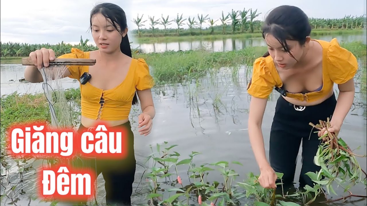 Cô Gái Quê giăng câu đêm trúng toàn anh bát giới | fishing CGQ 552
