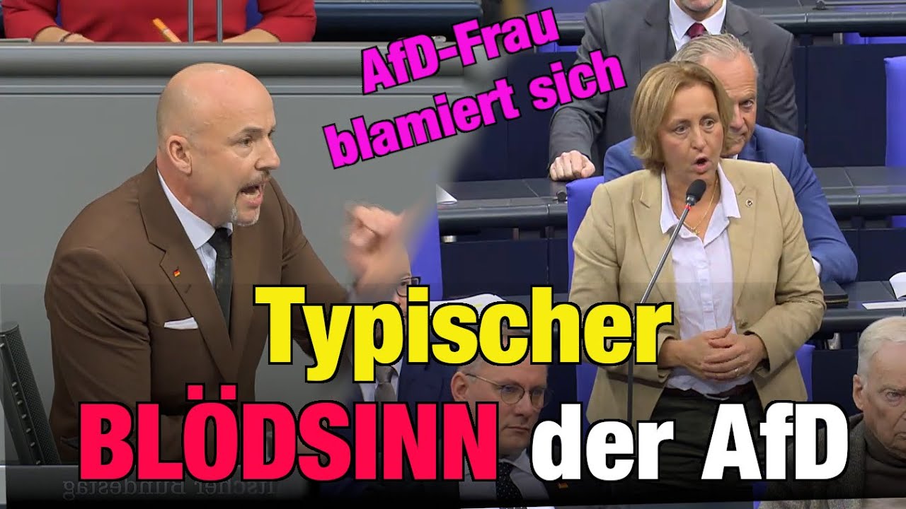 Typischer AfD-BLÖDSINN von Storch blamiert sich 🤣