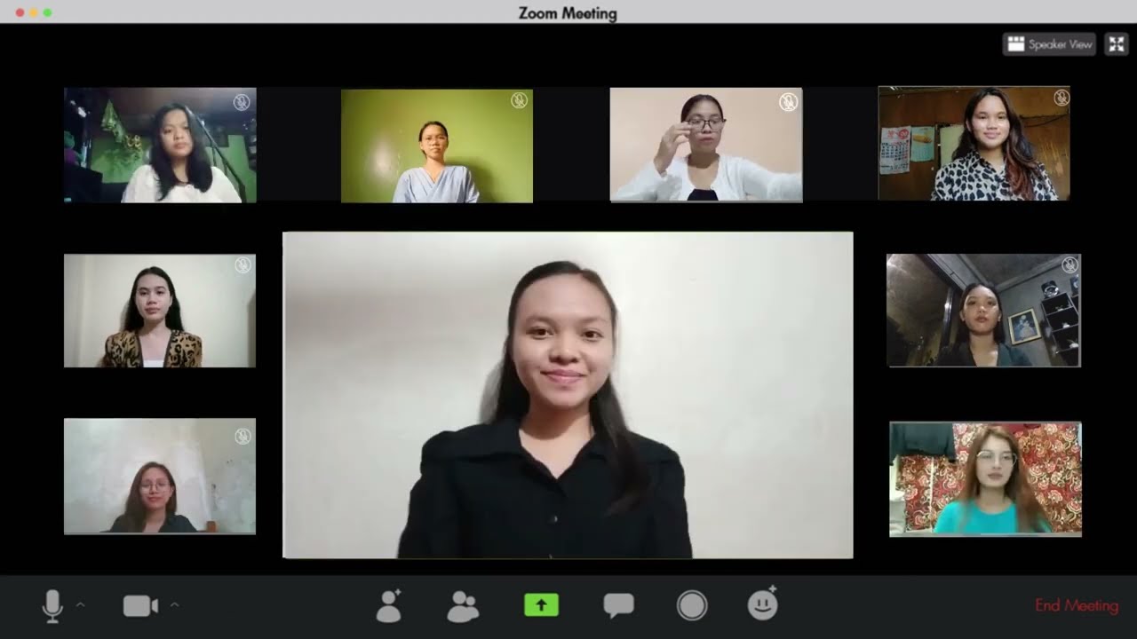 GROUP 5 - Code of Conduct for Public Officials and Employees (RA 6713)
