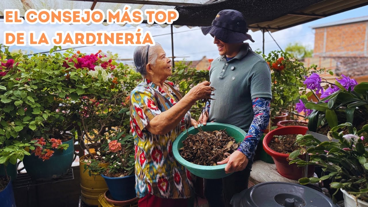 El abono más popular para plantas este año si quieres flores en tu jardín |AP