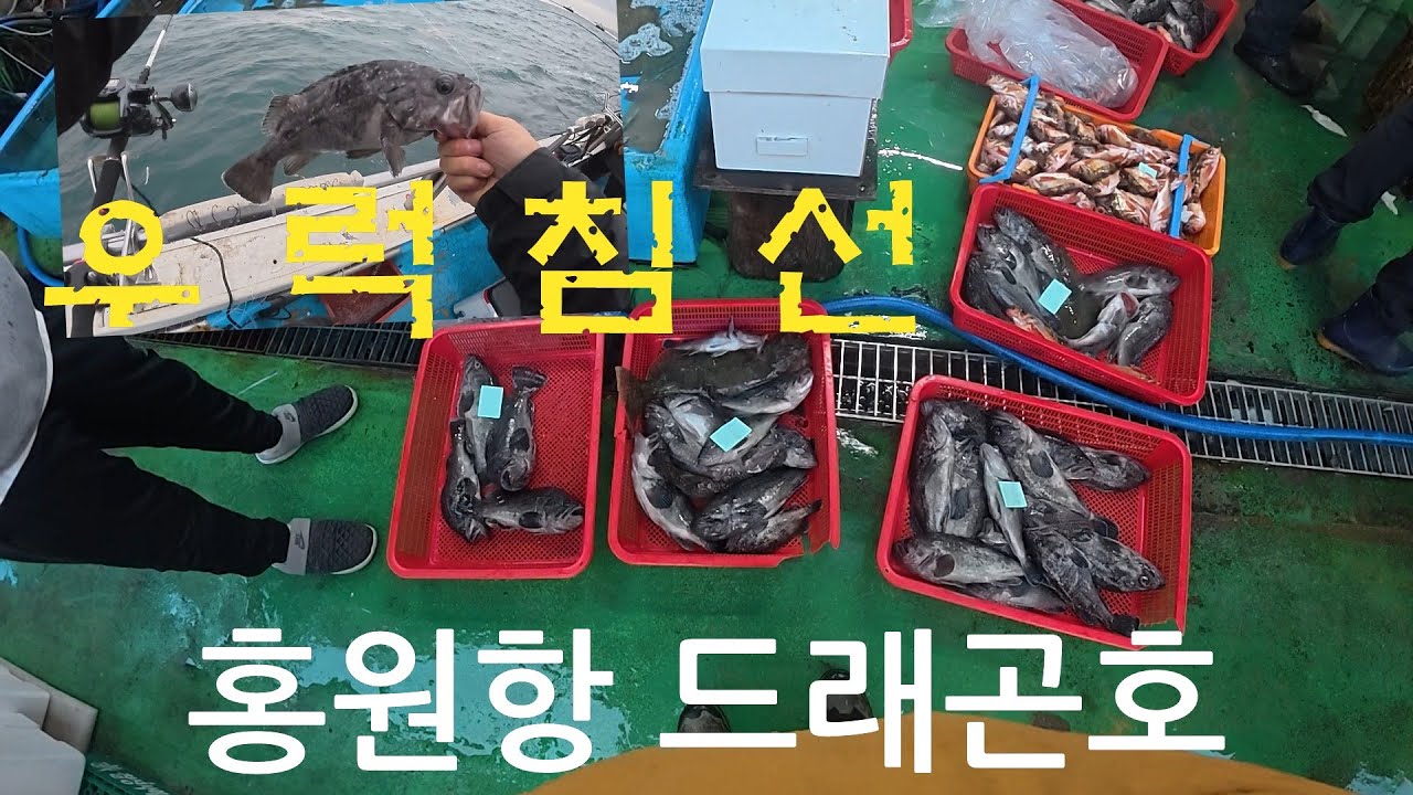 비바람 치는 우럭 침선 낚시(홍원항 드래곤호)