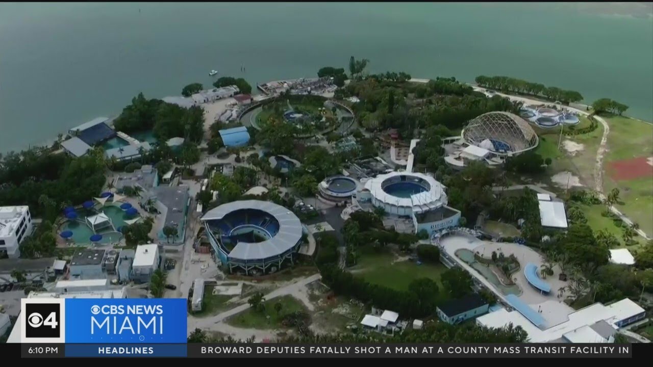 Miami-Dade County sends Miami Seaquarium eviction notice