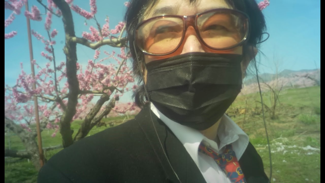 アフレコ囁きASMR　 桜と桃の花を見に追いかけて青春【dubbing whisper】Youth chasing after cherry blossoms and peach blossoms