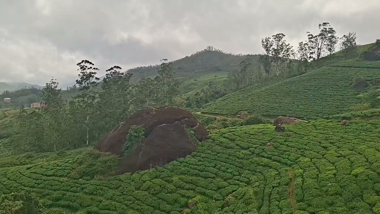 Munnar Colony Mrs School view Don't miss