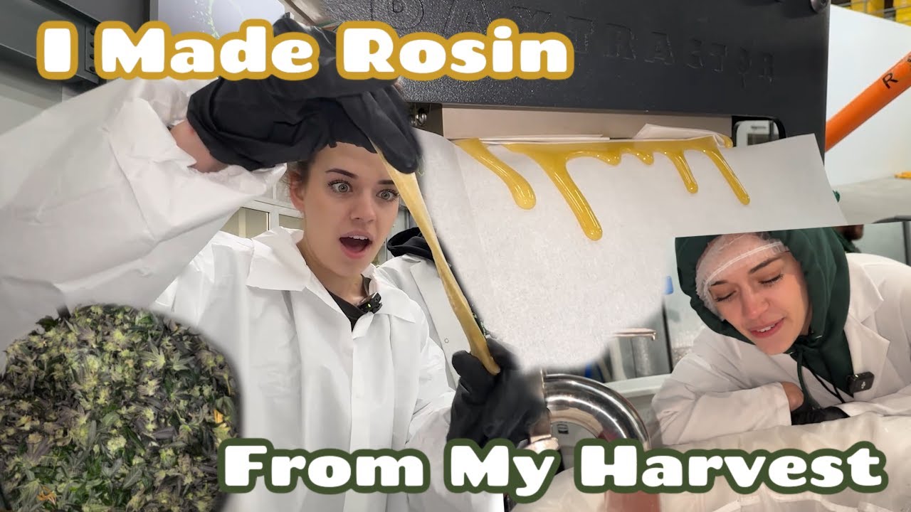 I Made Rosin From My Harvest!