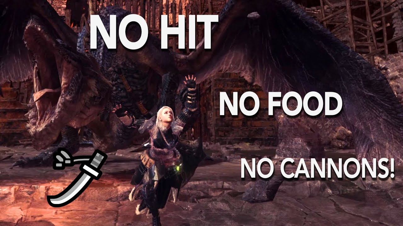 Long sword vs Fatalis but I avoid taking damage (and more)| 16'33