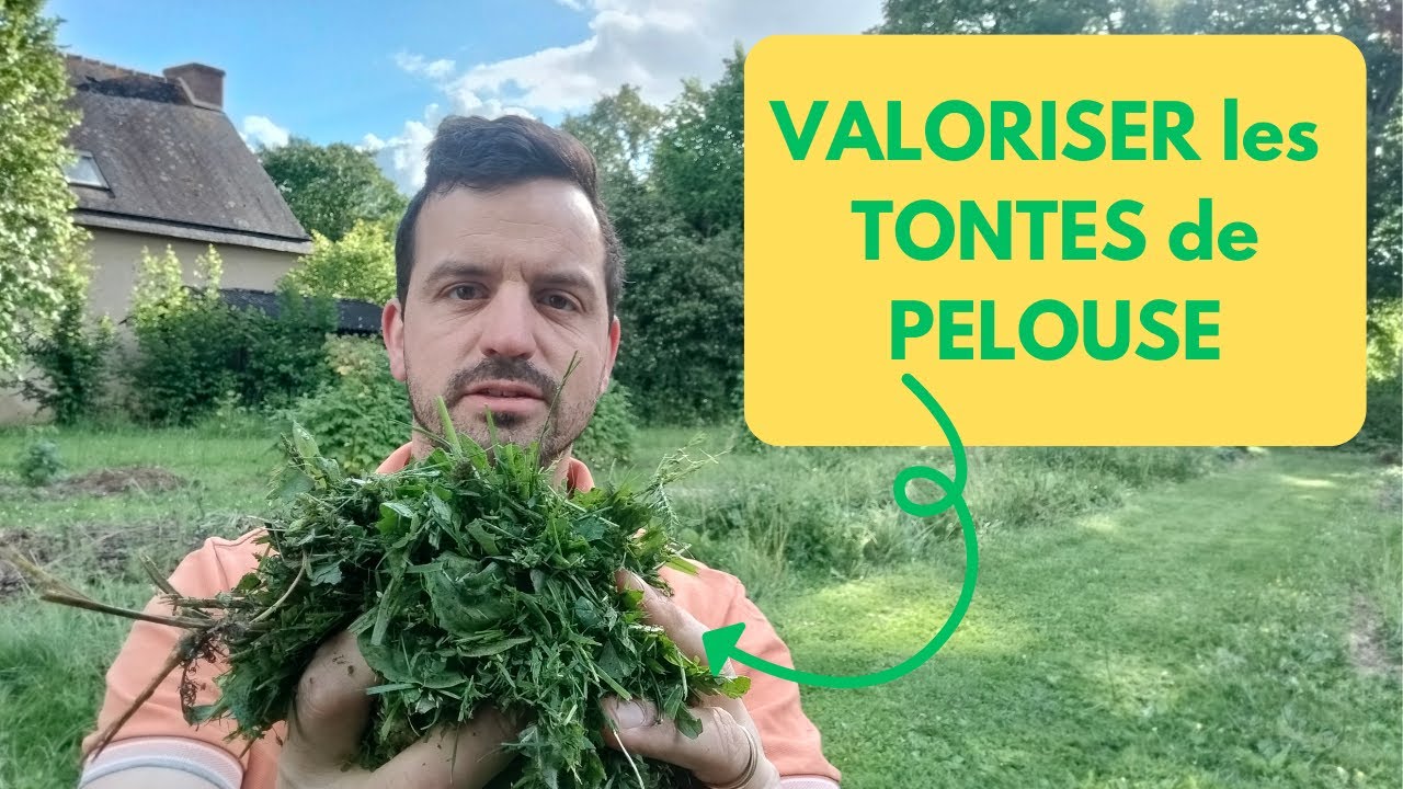 RECYCLER ses TONTES de PELOUSE: OR VERT au POTAGER