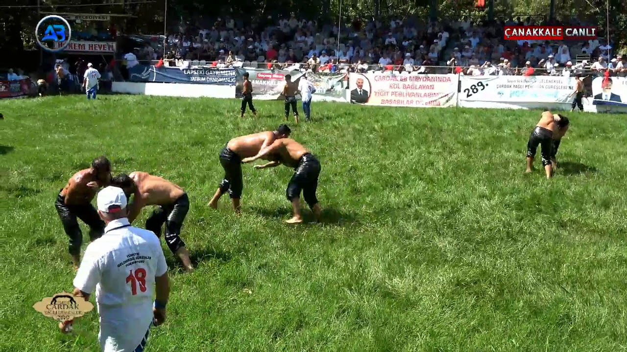 289. Geleneksel Çardak Yağlı Güreşleri - Canlı Yayın