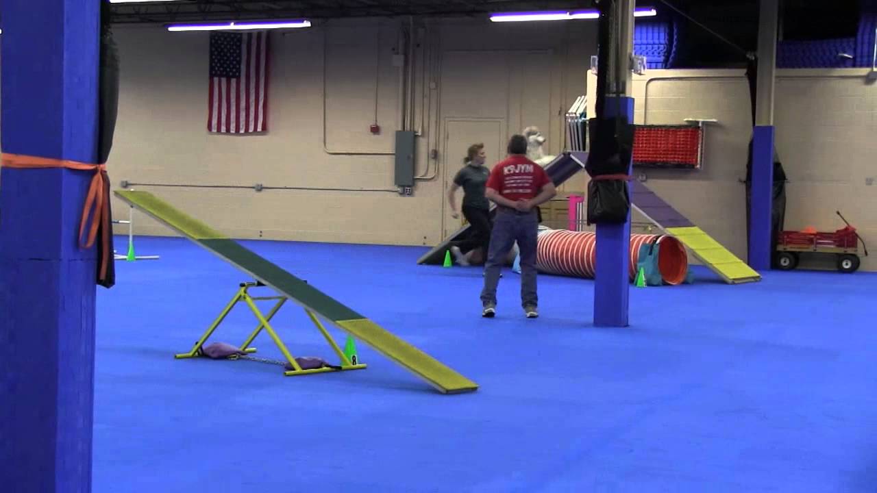 Tax Day Agility Trial 4-15-15  - Agility Run 1(1/4)