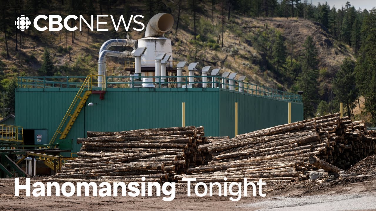U.S. increases softwood lumber fees on Canada to 35.19% | Hanomansing Tonight