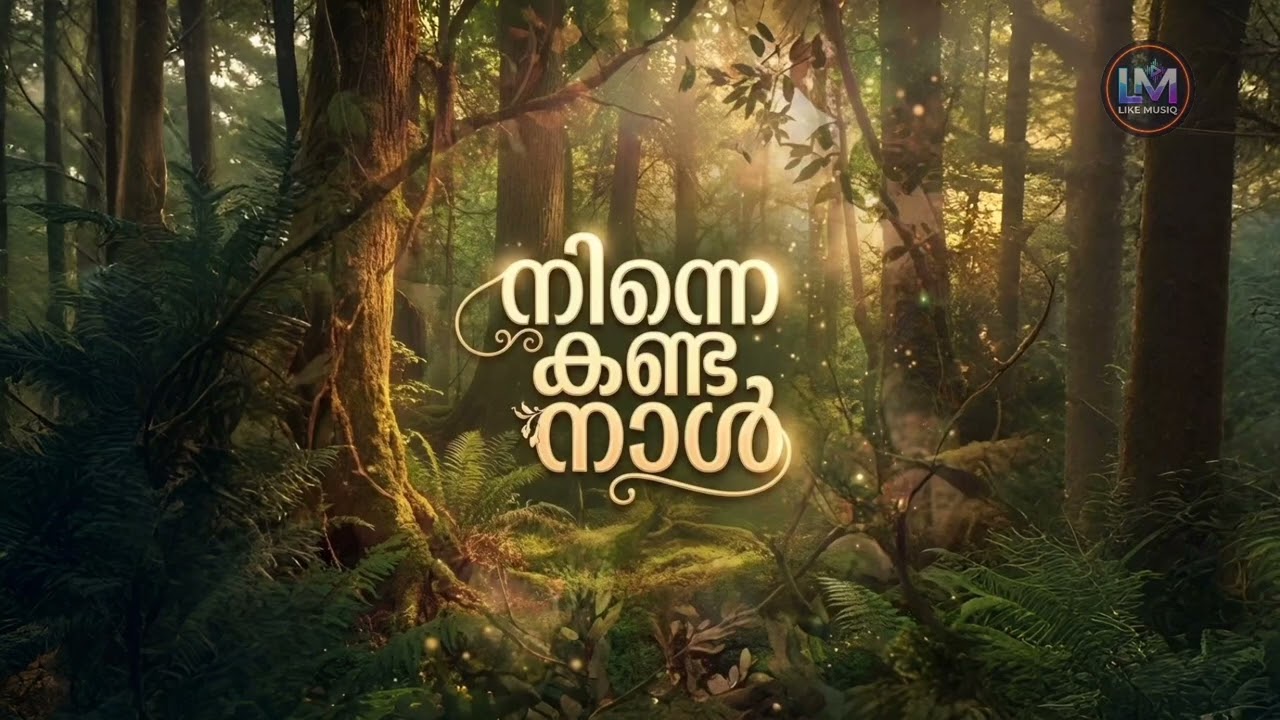 നിന്നെ കണ്ട നാൾമുതൽ