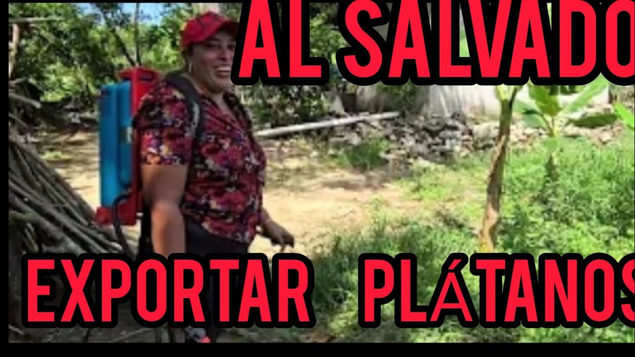 Yolanda  anda regando el solar don de vive linda padilla 