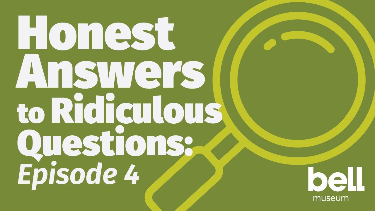 Honest Answers to Ridiculous Questions: Episode 4
