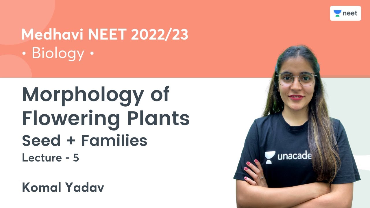 Morphology of Flowering Plants | Seed + Families | L5 | NEET 2022/23 | Unacademy NEET | Komal Yadav