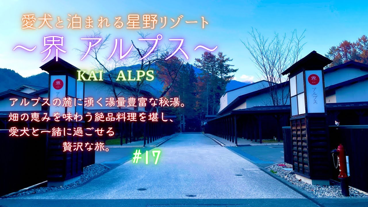 【愛犬と旅行】愛犬と泊まれる星野リゾート〜界アルプスKAIALPS〜アルプスの麓に湧く湯量豊富な秘湯。畑の恵みを味わう絶品料理を堪能し、愛犬と一緒に過ごせる贅沢な旅。〜愛犬といける松本城〜奈良井宿〜