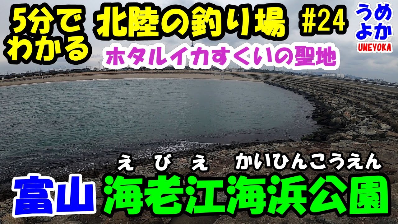 ホタルイカすくいの聖地#3 富山県 海老江海浜公園  5分でわかる北陸の釣り場#24