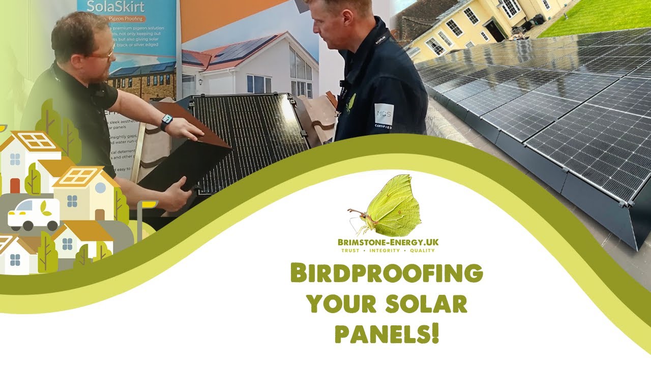 How to Protect Solar Panels from Pigeons | Solaskirt Bird Proofing