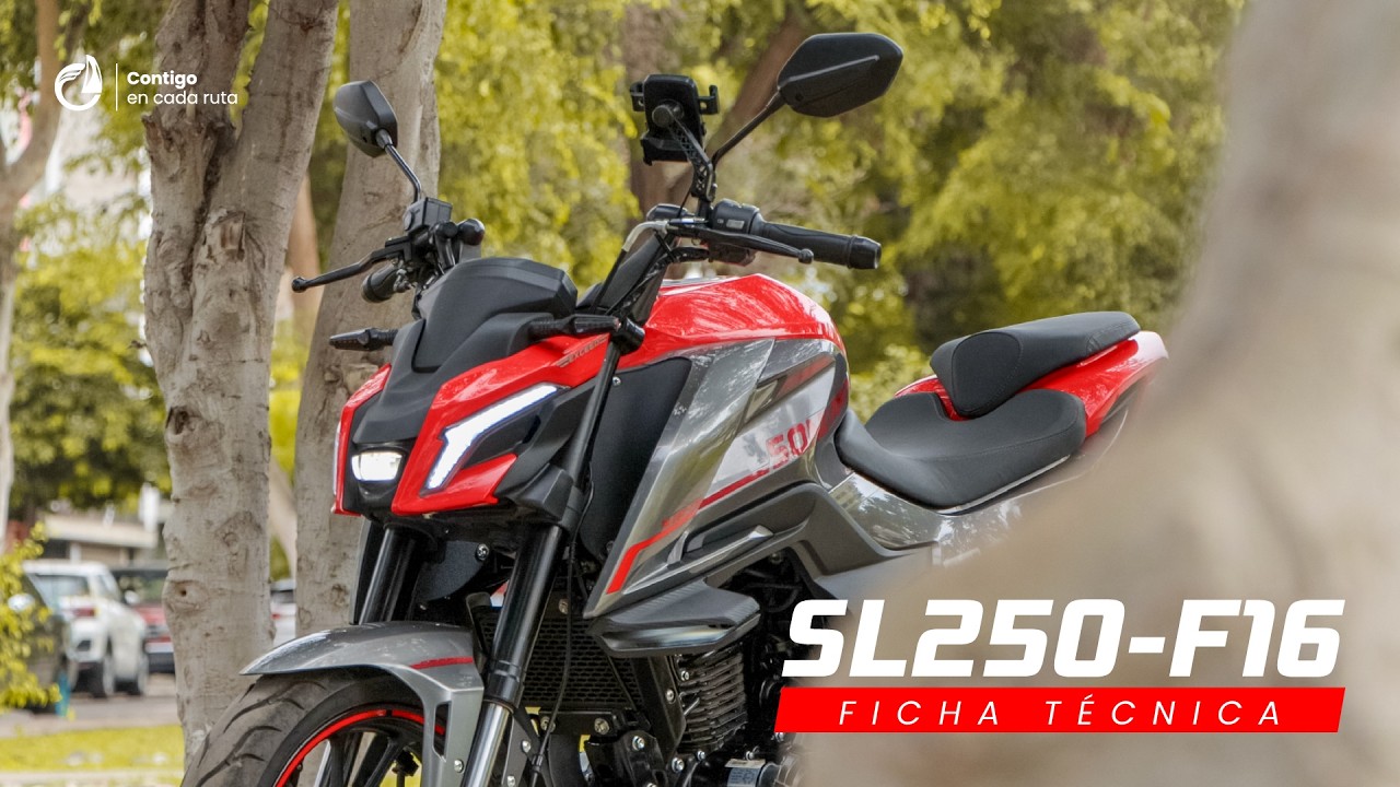 MOTO NAKED SONLINK SL250-F16 | FICHA TÉCNICA