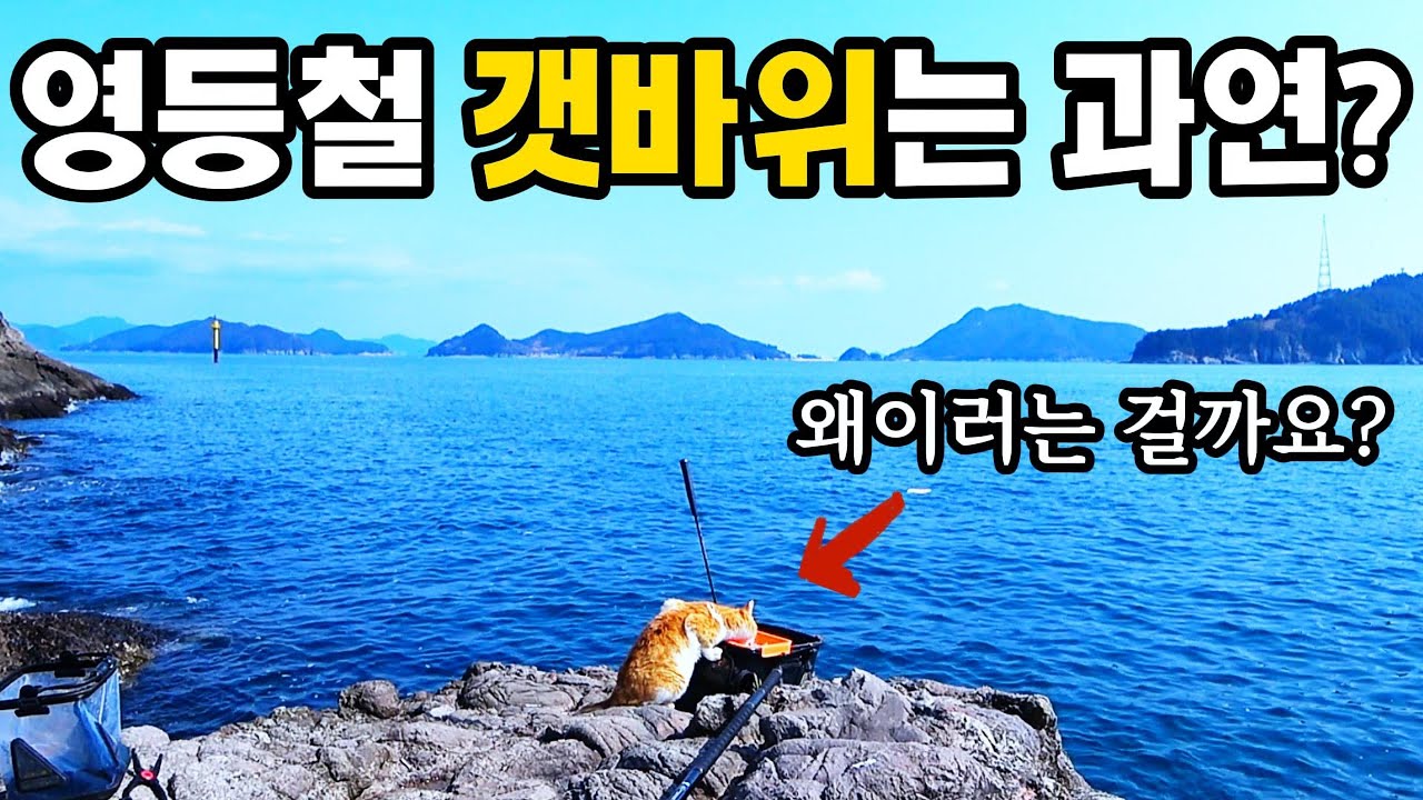 낚시환자 한분과 통영 갯바위 투어!!
