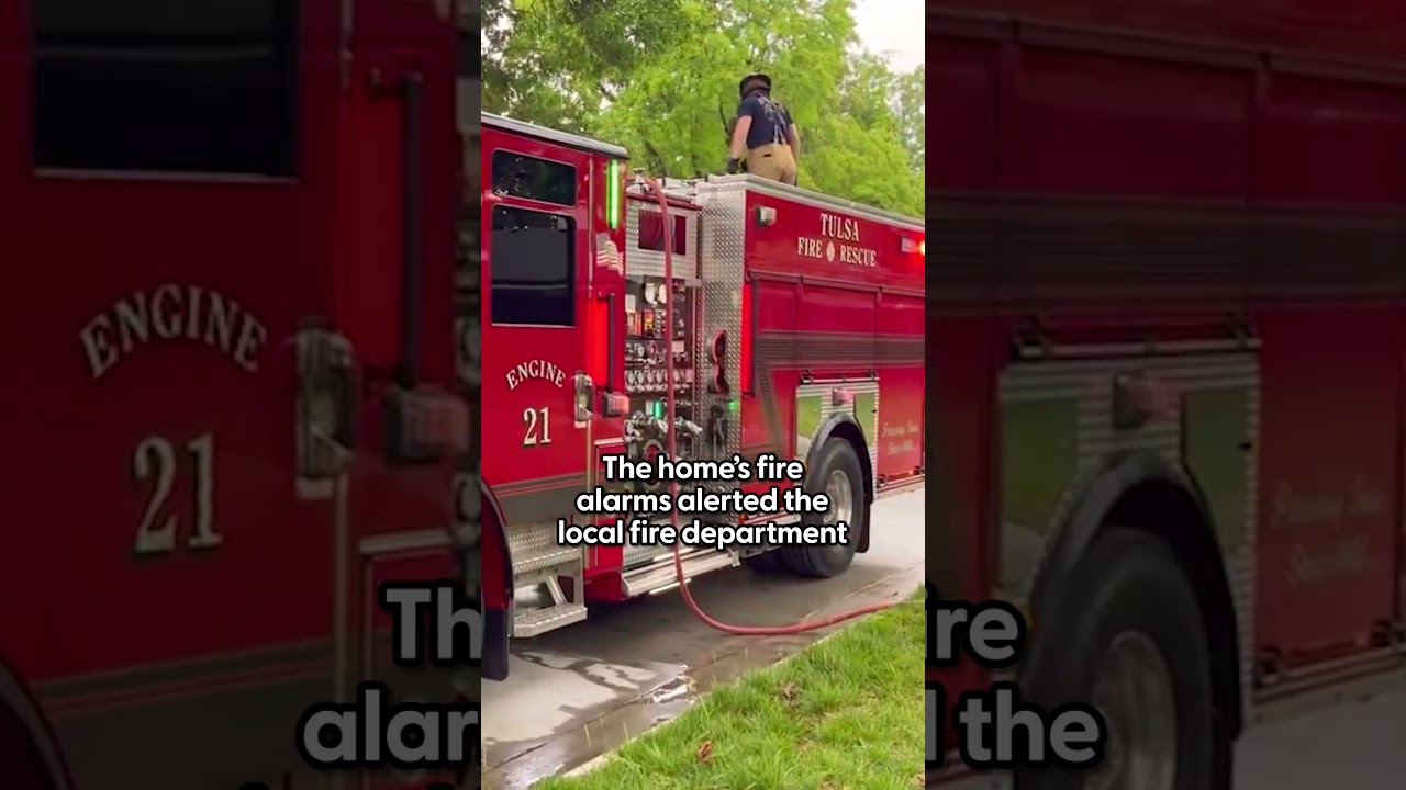 Dog Accidentally Starts House Fire While Owners Aren't Home | The Dodo