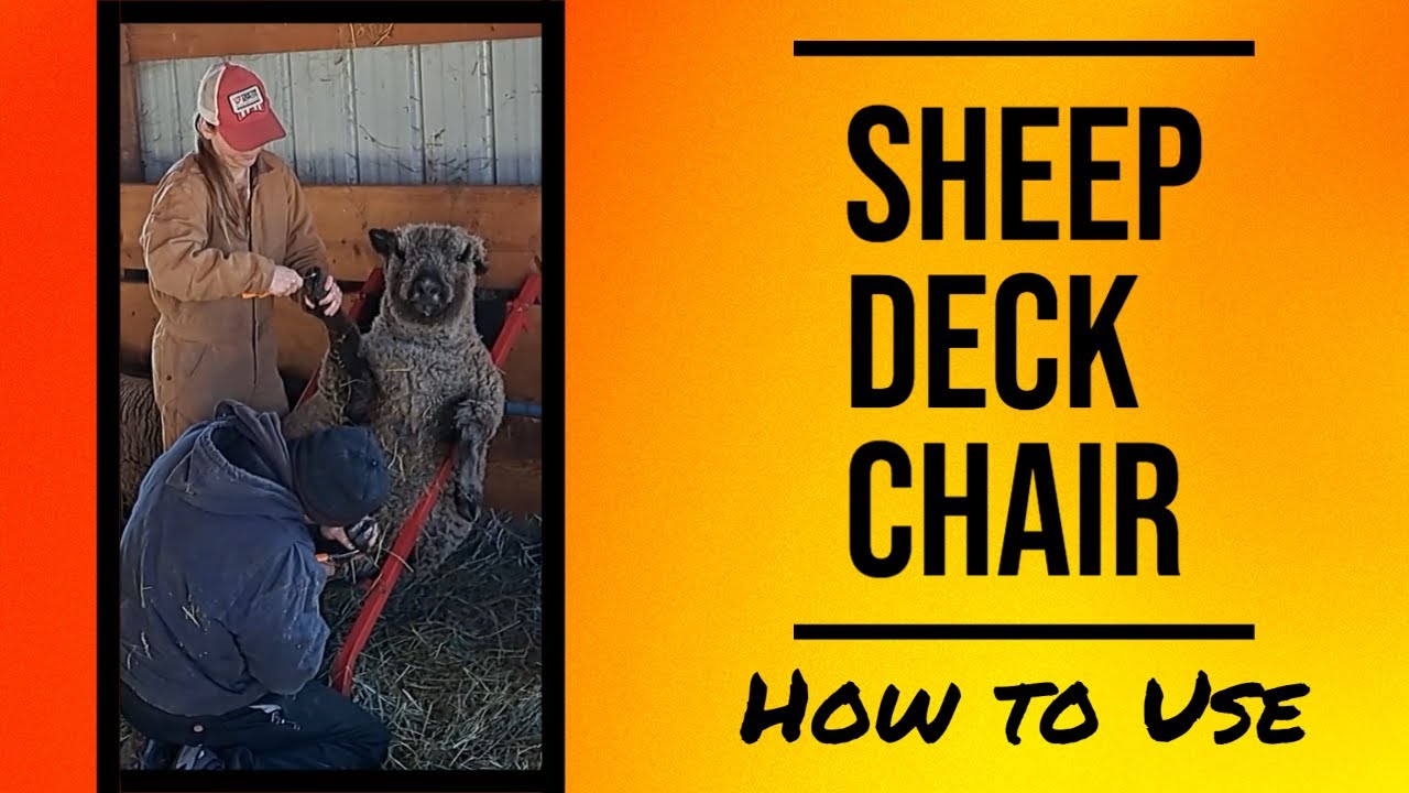 Как использовать шезлонг Sheep (с примерами)