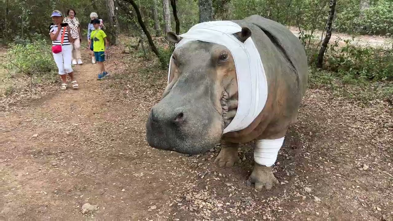 A&D Var : Découverte du Domaine de Peyrassol 2023