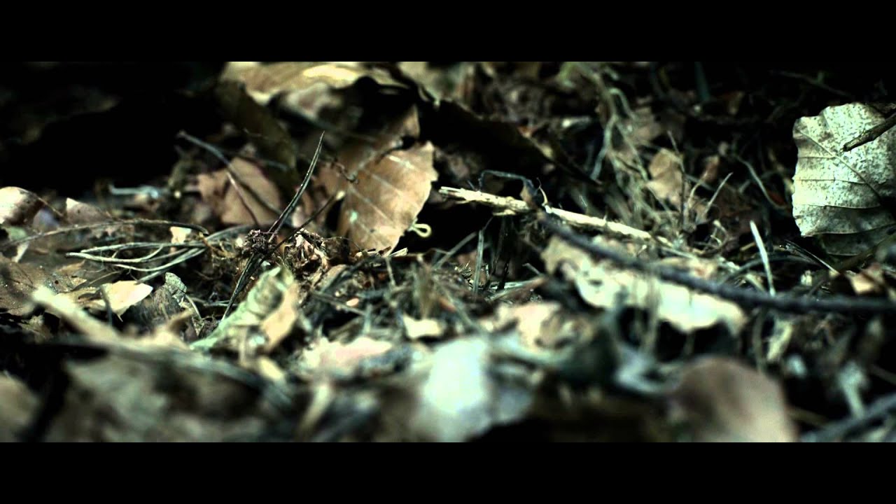 The 11th Hour (2014) Official Trailer