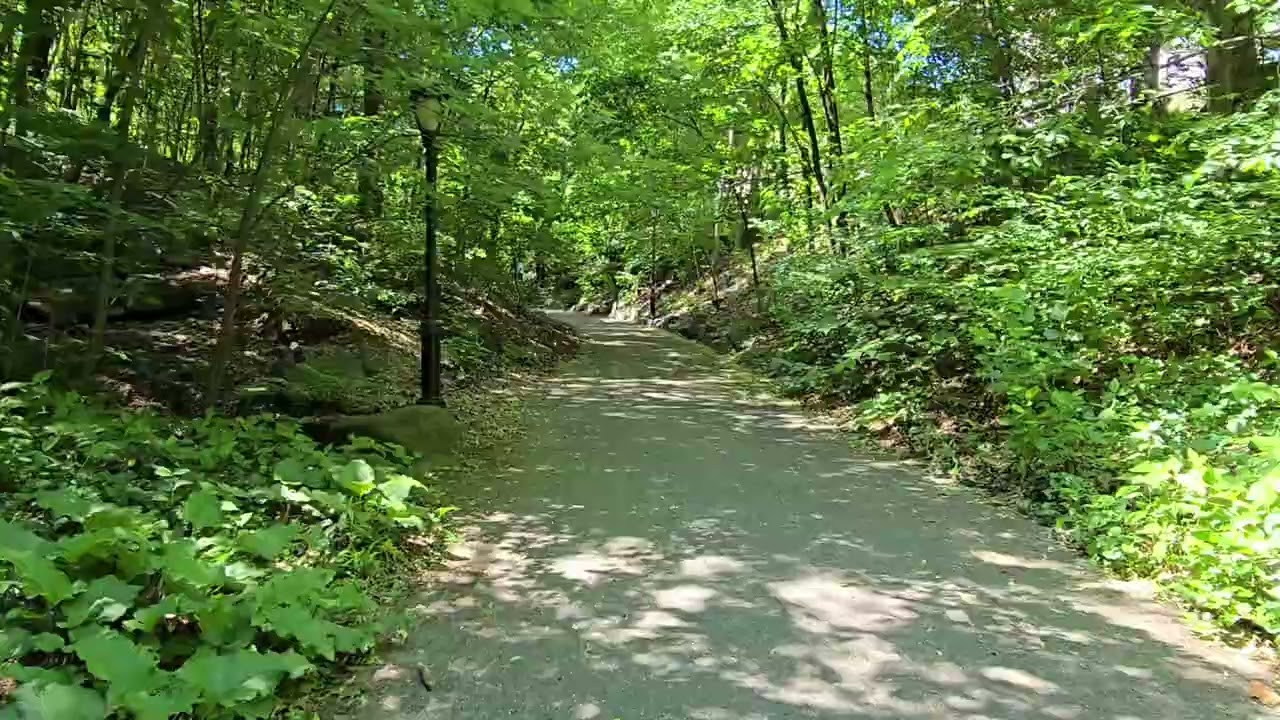  Central Park 4K w waking Tour 
