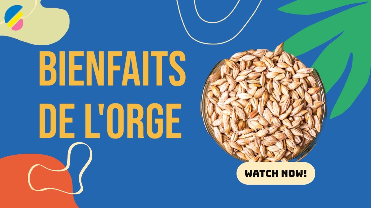 Révélation des incroyables bienfaits de l'orge et comment l'incorporer dans ton alimentation