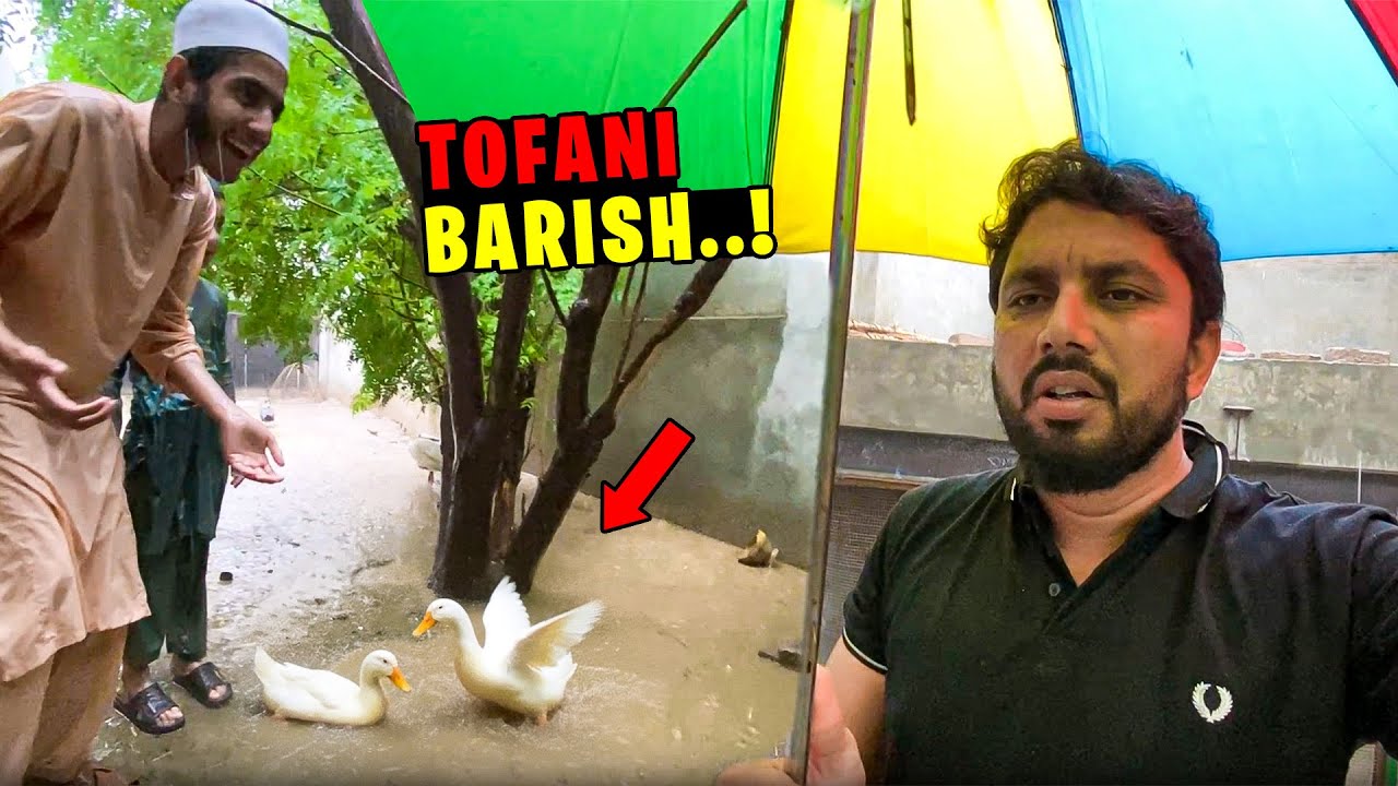 Aj Dehati Mamu Mini Zoo Par Tofani Barish Hui 😱