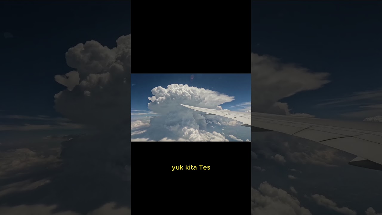 Phobia Test: AEROPHOBIA (Takut Naik Pesawat) #faktamenarik #faktaunik #shorts #viral